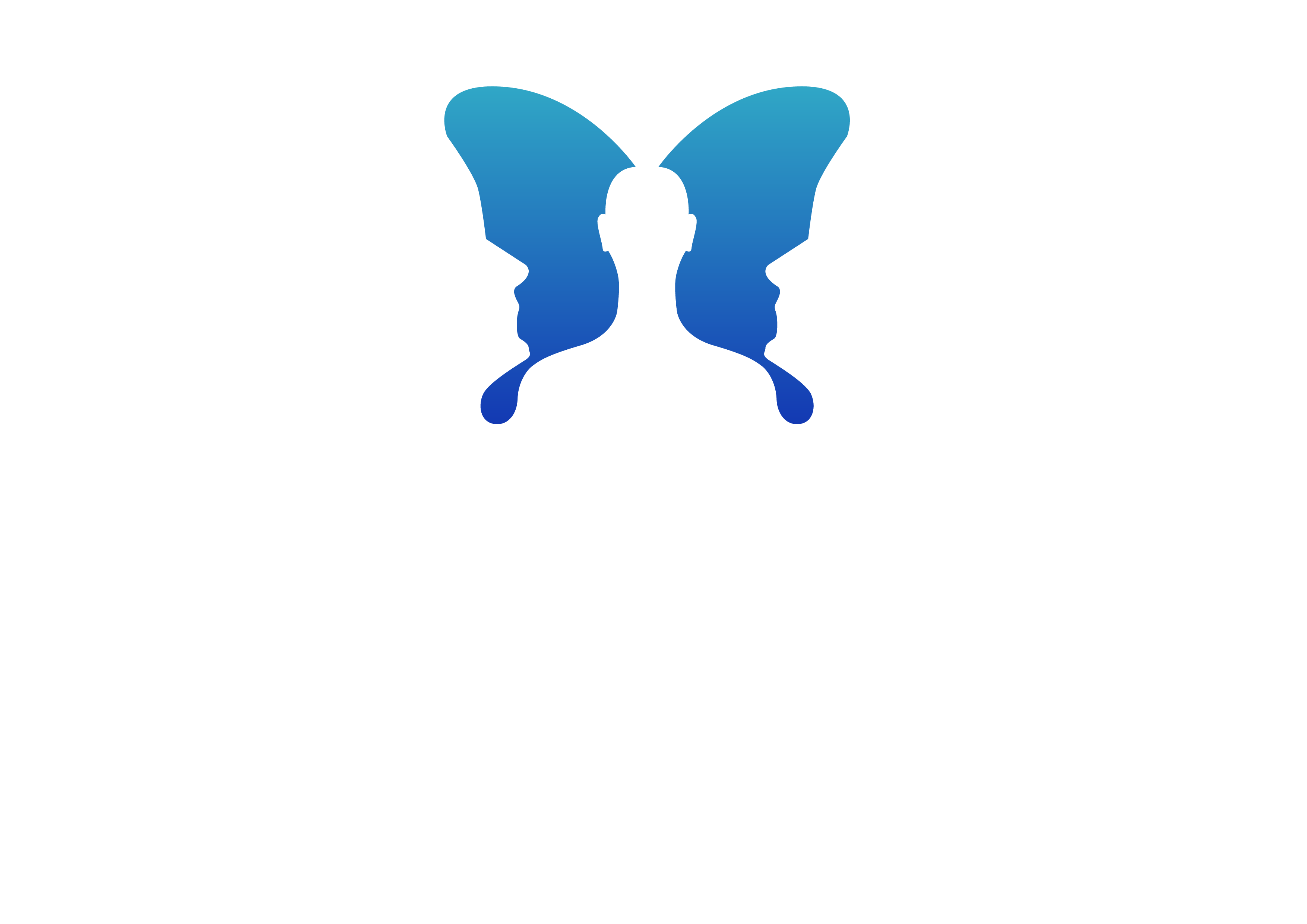 Ollato Mind Mapping